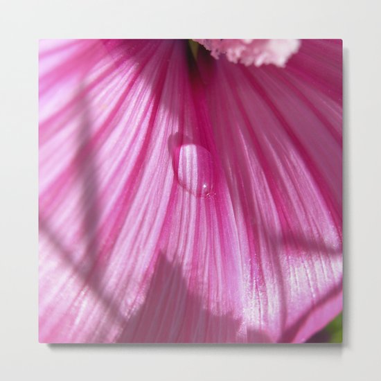 little nature tear VI Metal Print