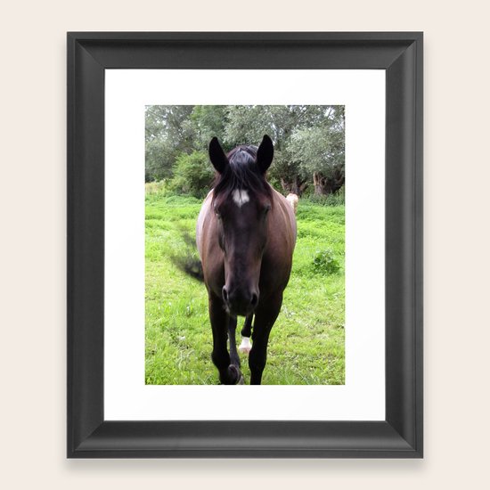 Horse Framed Art Print