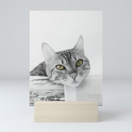 Cute curious funny domestic mommy cat  Mini Art Print