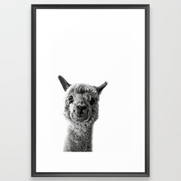Alpaca Love Framed Art Print