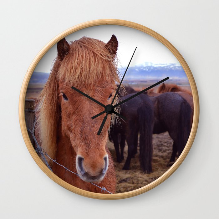Icelandic Ponies Wall Clock