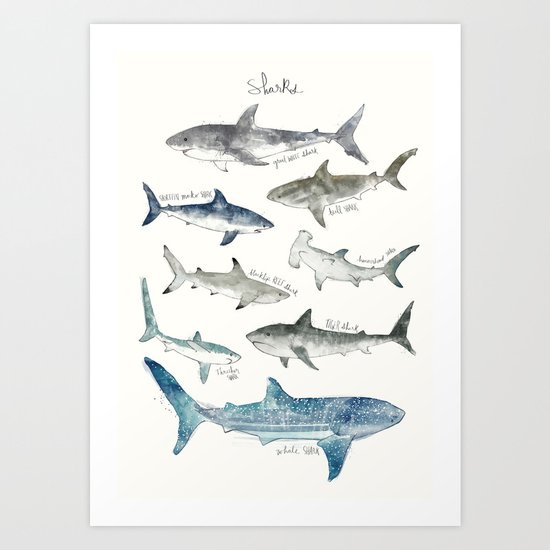 Sharks Art Print By Amy Hamilton Society6