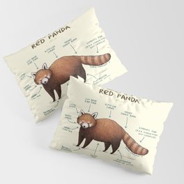 Anatomy of a Red Panda Pillow Sham