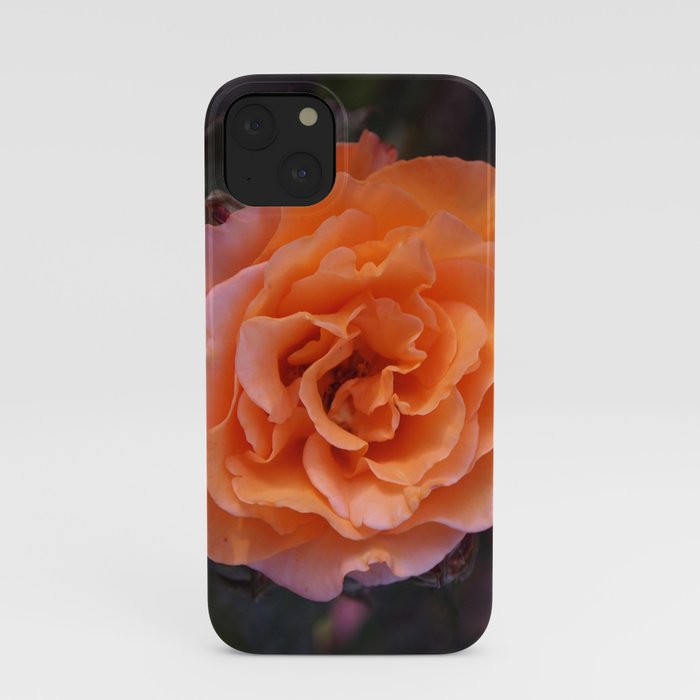 Holland Park Rose iPhone Case