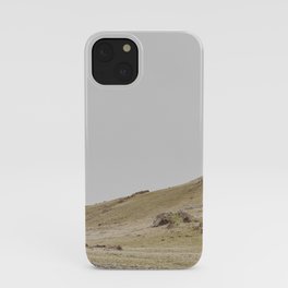 Greens are Good for the Soul iPhone Case