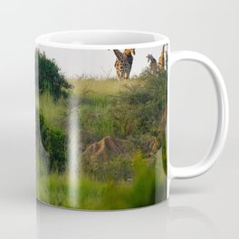 South Africa Photography - Giraffes Enjoying The African Nature Coffee Mug