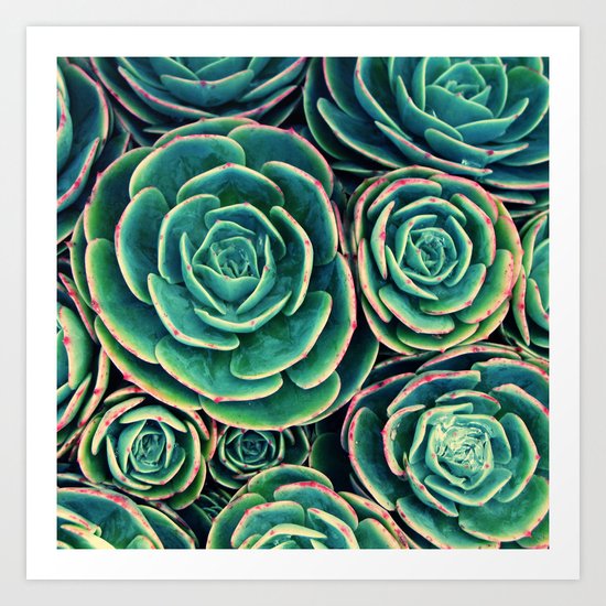 Rosettes in Green Art Print