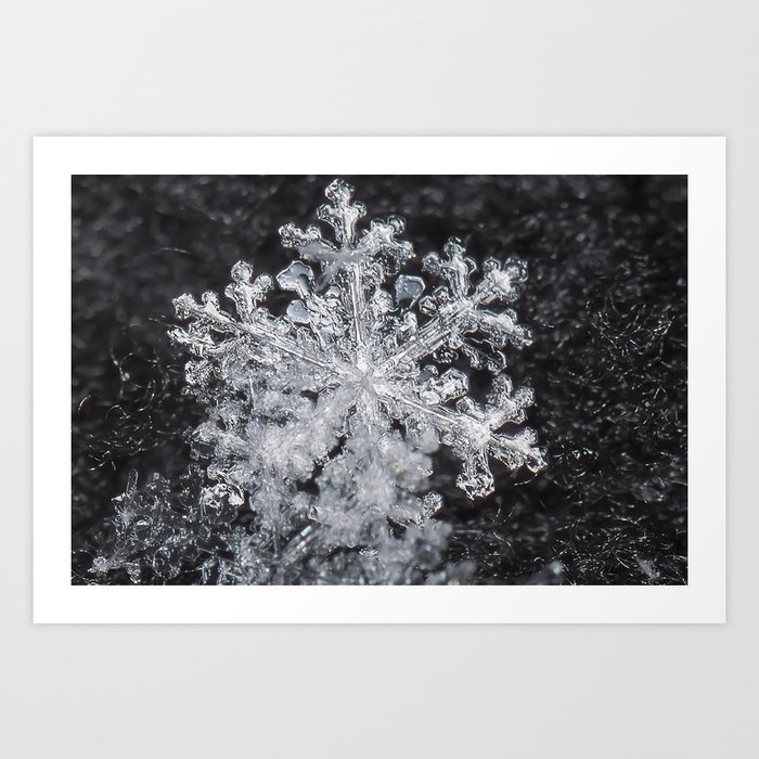 Snowflake Closeup #3 Art Print