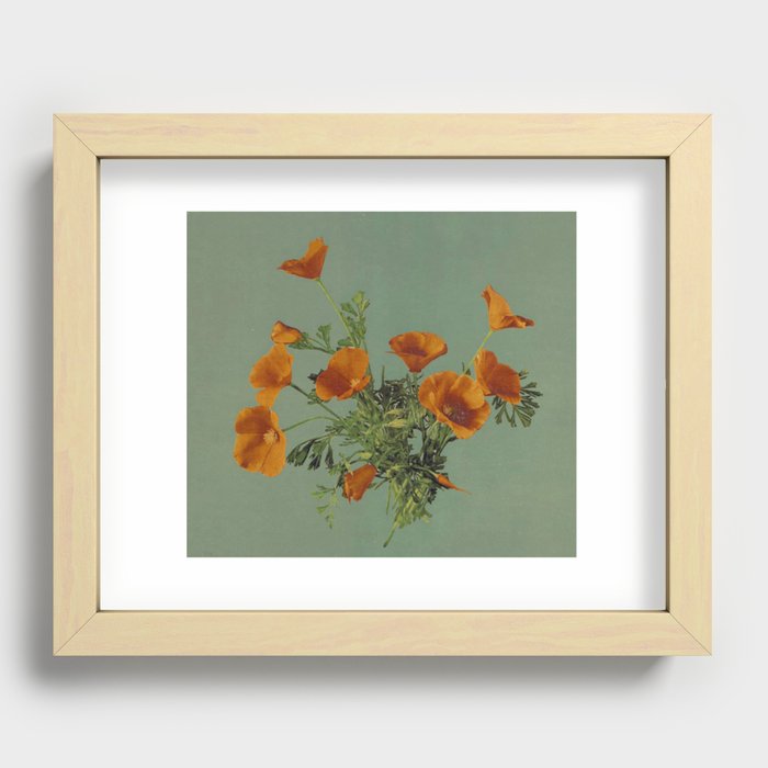 Recessed Framed Print