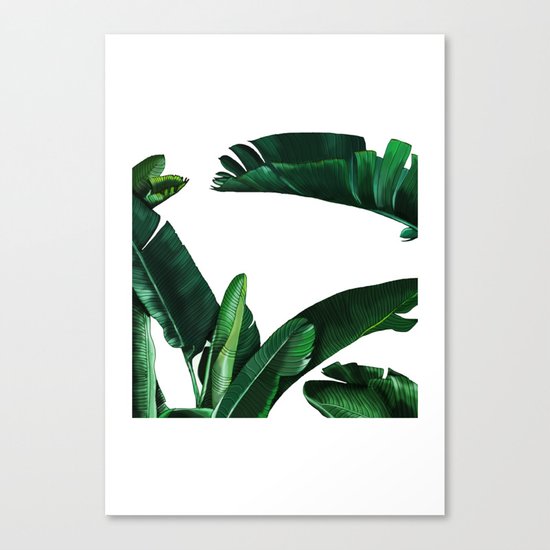 Palm Canvas Print