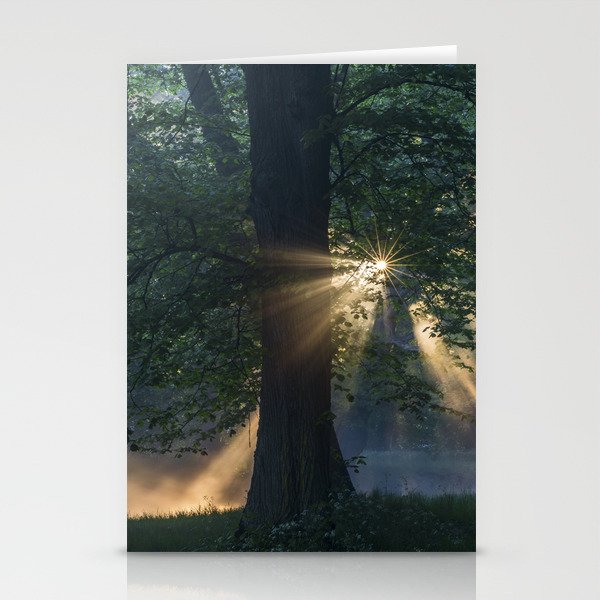 First rays Stationery Cards