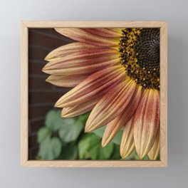 You're my sunflower Framed Mini Art Print