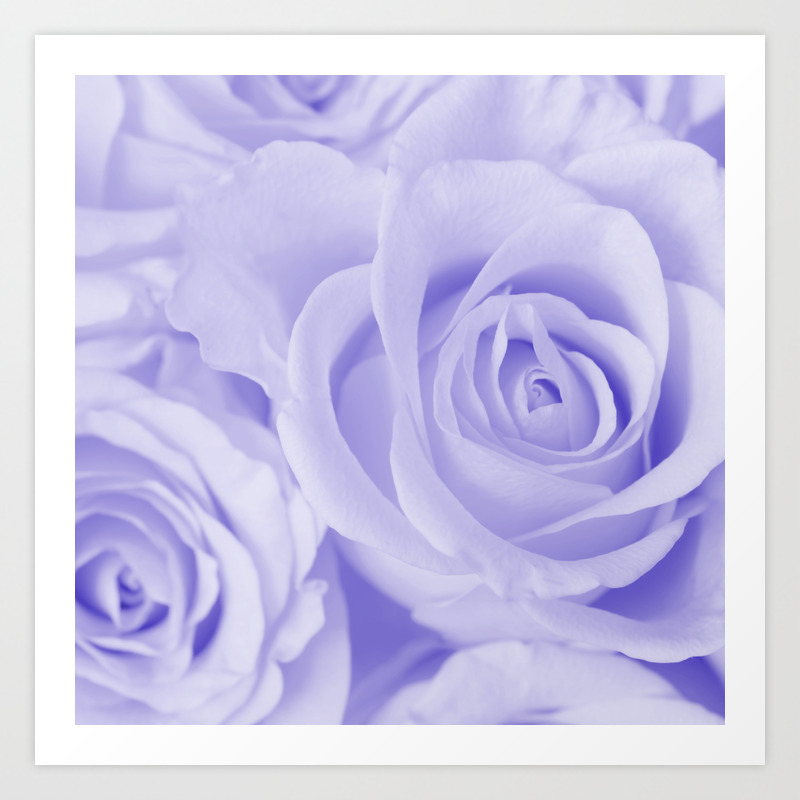 Beautiful Roses Pastel Purple Color Decor Society6 Buyart Art Print By Pivivikstrm Society6