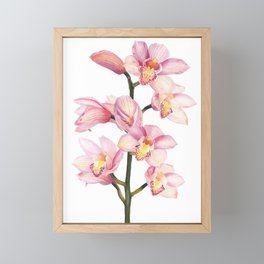 The Orchid, A Realistic Botanical Watercolor Painting Framed Mini Art Print