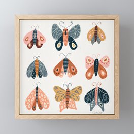 Moth Specimens – Yellow Framed Mini Art Print