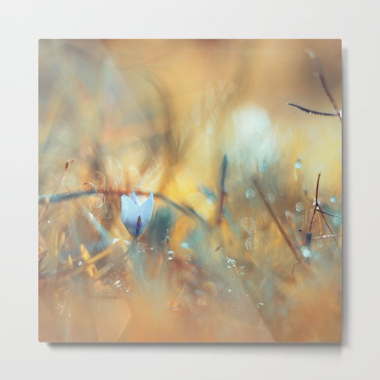 Soul of Fire Metal Print