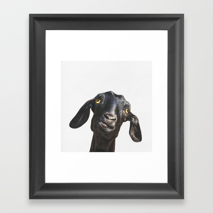 Billy Goat Framed Art Print