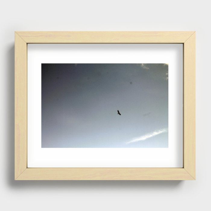 Fly Recessed Framed Print