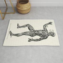 Superficial Muscles of the Human Body Vintage Anatomy Illustration Area & Throw Rug