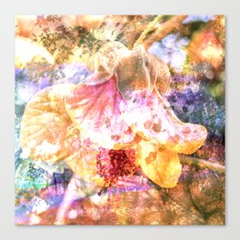 Soft Petals Canvas Print