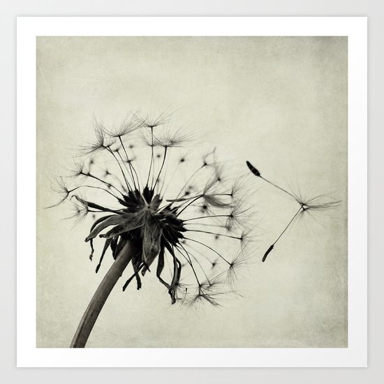 letting go Art Print