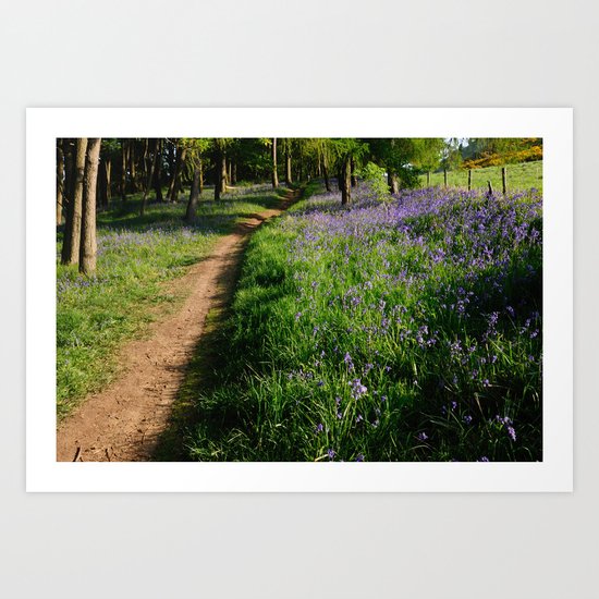 Bluebell Woods Art Print