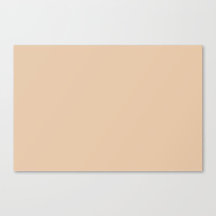 Pale Apricot Solid Color Pairs PPG Pumpkin Cream PPG1080-2 - All One Single Shade Hue Colour Canvas Print