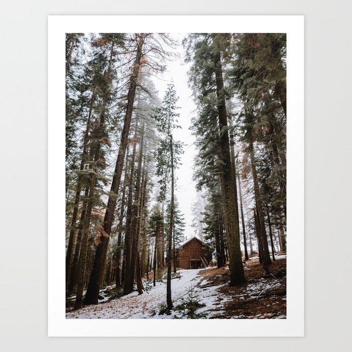 Cabin in the Woods Art Print