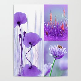 Collage Spring Violet 101 Poster