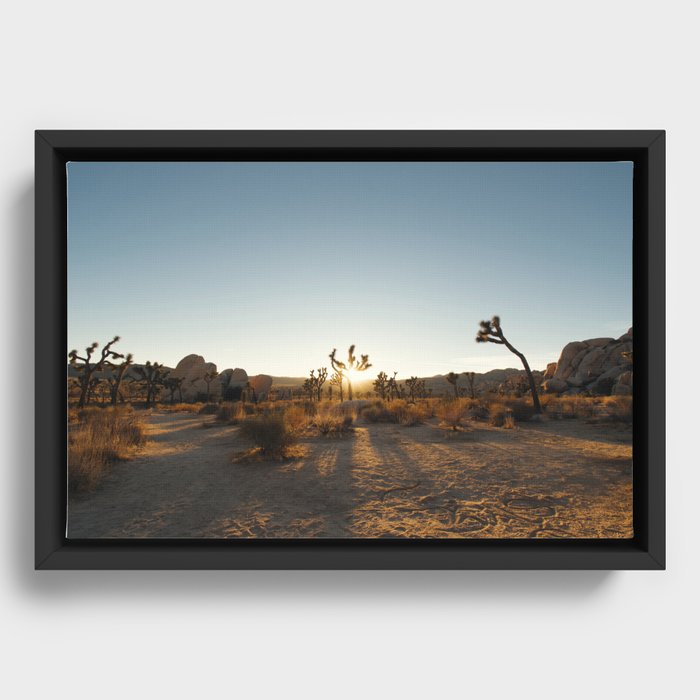 Joshua Tree Sunburst Framed Canvas