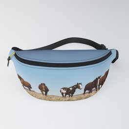 WILD HORSE HERD - Color Fanny Pack