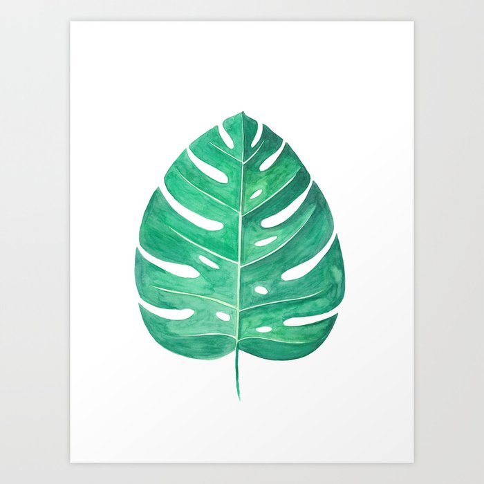 Monstera Leaf 2 Watercolor Painting Art Print By Ccartstudio