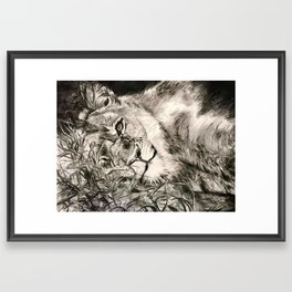 Lion 7 Framed Art Print