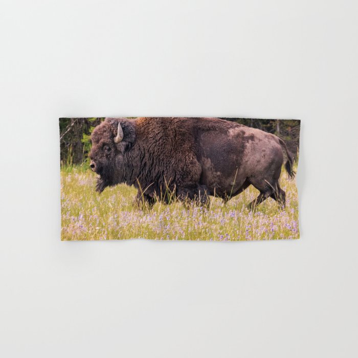 Wildlife Photography Buffalo Yellowstone National Park Wyoming Nature Hand & Bath Towel