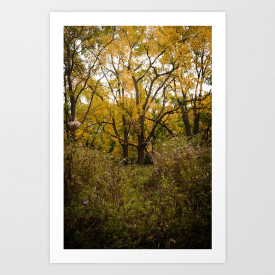 Walk Through Fall Art Print