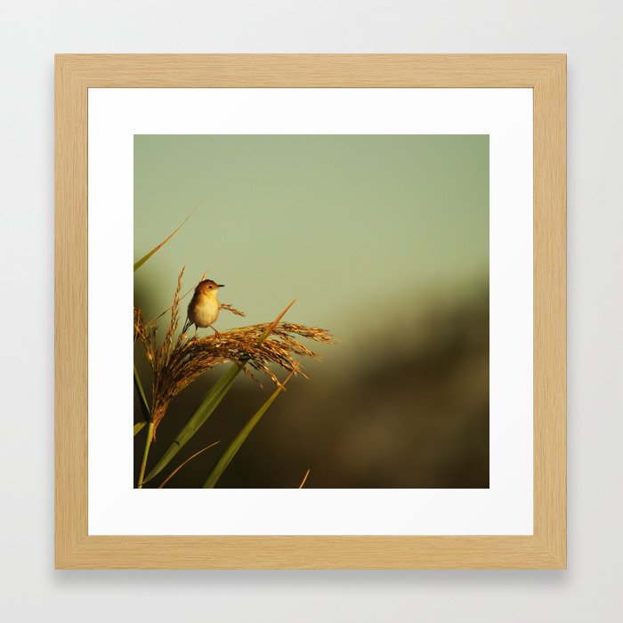 A Small Bird Framed Art Print