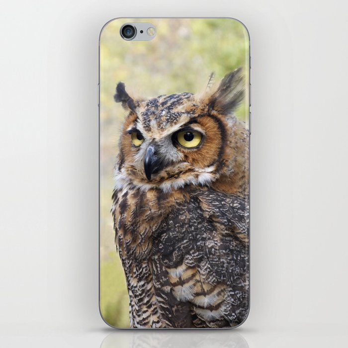 Great Horned Owl iPhone Skin