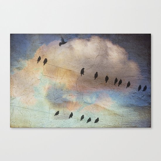 lazy birds Canvas Print