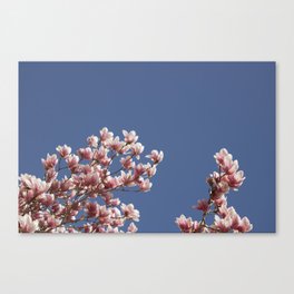 Floral Sky Canvas Print