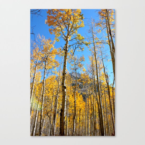 Enchiladas in the Trees 2 Canvas Print