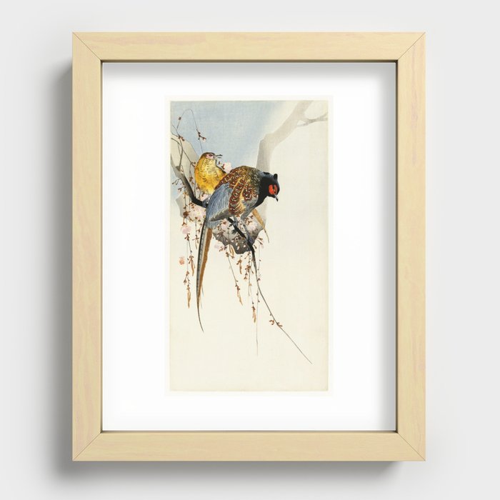 Partridge in a tree Recessed Framed Print