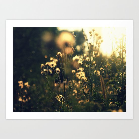 blured flowers Art Print