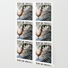 CAT EYE Wallpaper