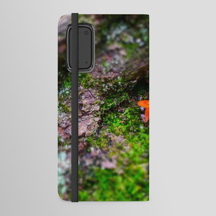 Mushrooms And Ferns At Allegany State Park Android Wallet Case