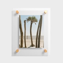 Palm Beach Floating Acrylic Print