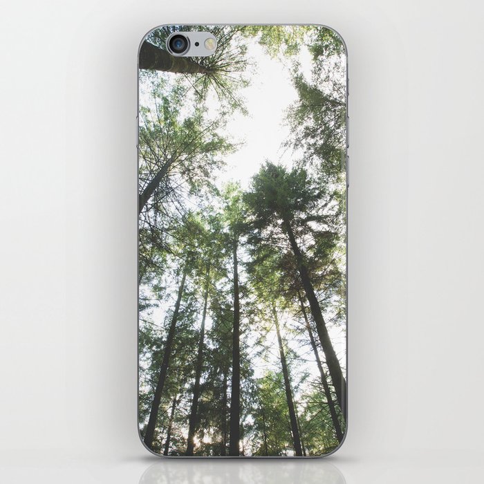 Looking up at the Pine Trees iPhone Skin