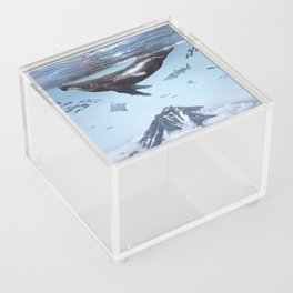 Upside Down Acrylic Box