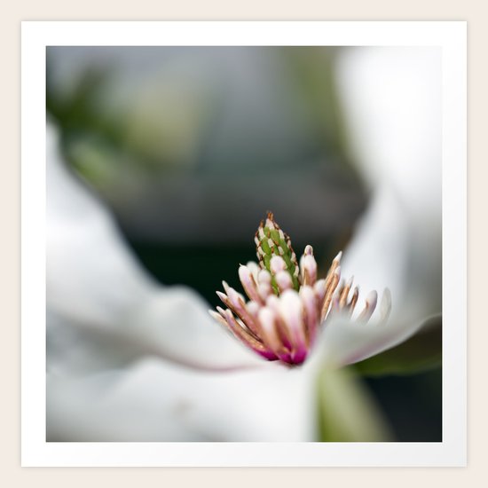 Flora Art Print