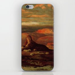 the sphinx of the seashore - Elihu Vedder  iPhone Skin