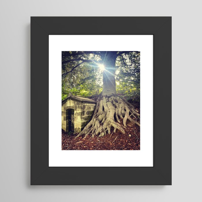 Framed Art Print